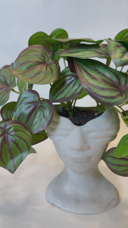 Rhonda – The Bold Beauty with Hands Forward and Lush Peperomia Hair