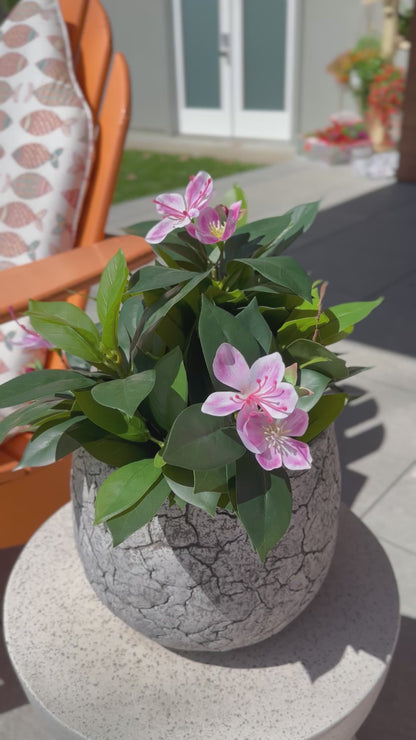 Francis - Pacific Rhododendron Artificial Indoor Plant in Cement Vase