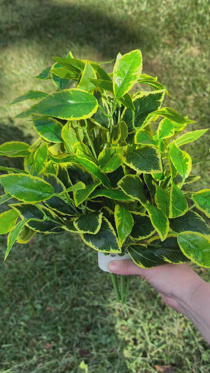 Artificial Weeping Fig (Rosemary) Plant for Garden Landscaping