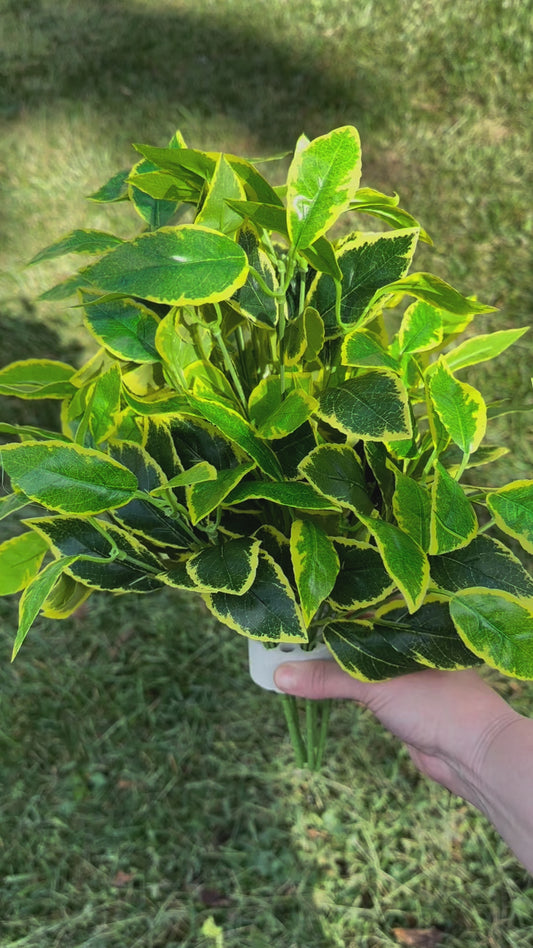 Artificial Weeping Fig (Rosemary) Plant for Garden Landscaping