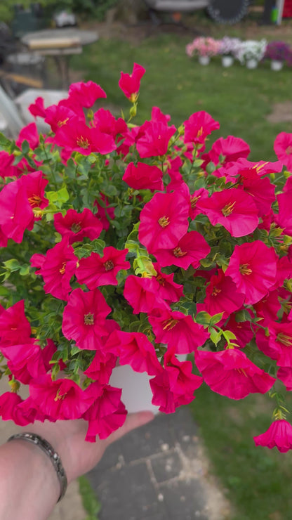 Potted Petunia Artificial Plant