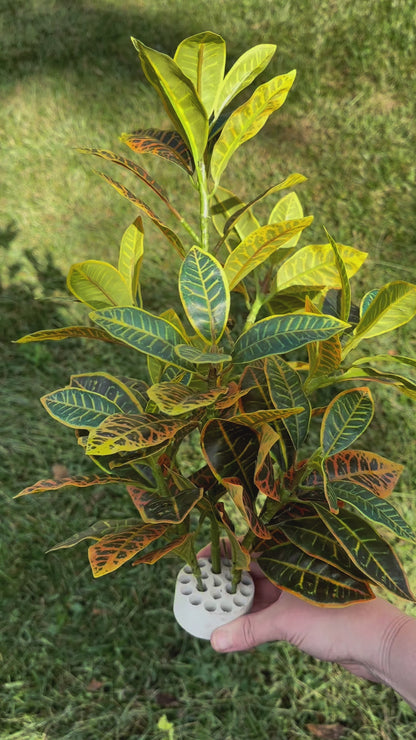 Artificial Crotons Plant for Garden Landscaping